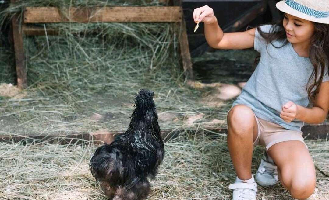Die 4. Klasse der Deutschen Schule Madrid reist zu einem Bauernhof und lernt über Artenschutz und Nachhaltigkeit
