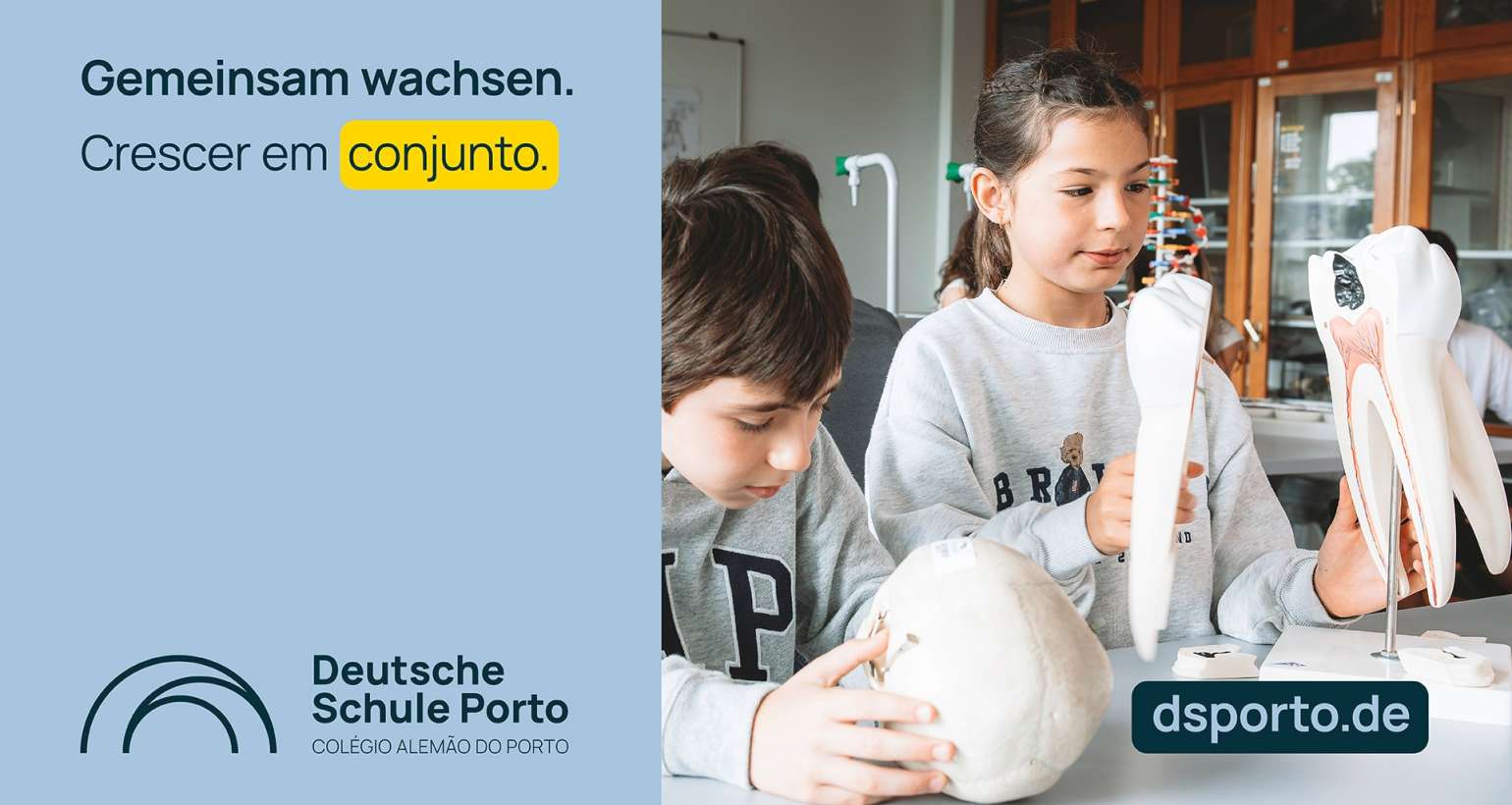 Deutsche Schule Porto mit neuem Namen, neuem Logo und neuer Website