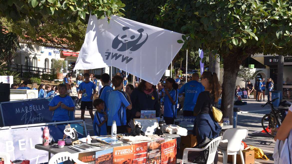 Umwelterziehung, Solidarität und soziale Verantwortung an der Deutschen Schule Málaga